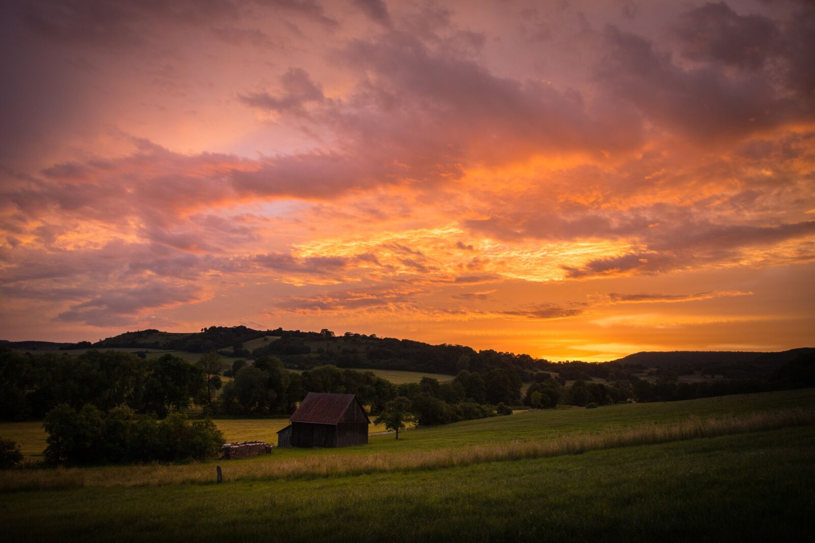 Nikon D5500 sample photo. Landscape, meadow, sunset photography