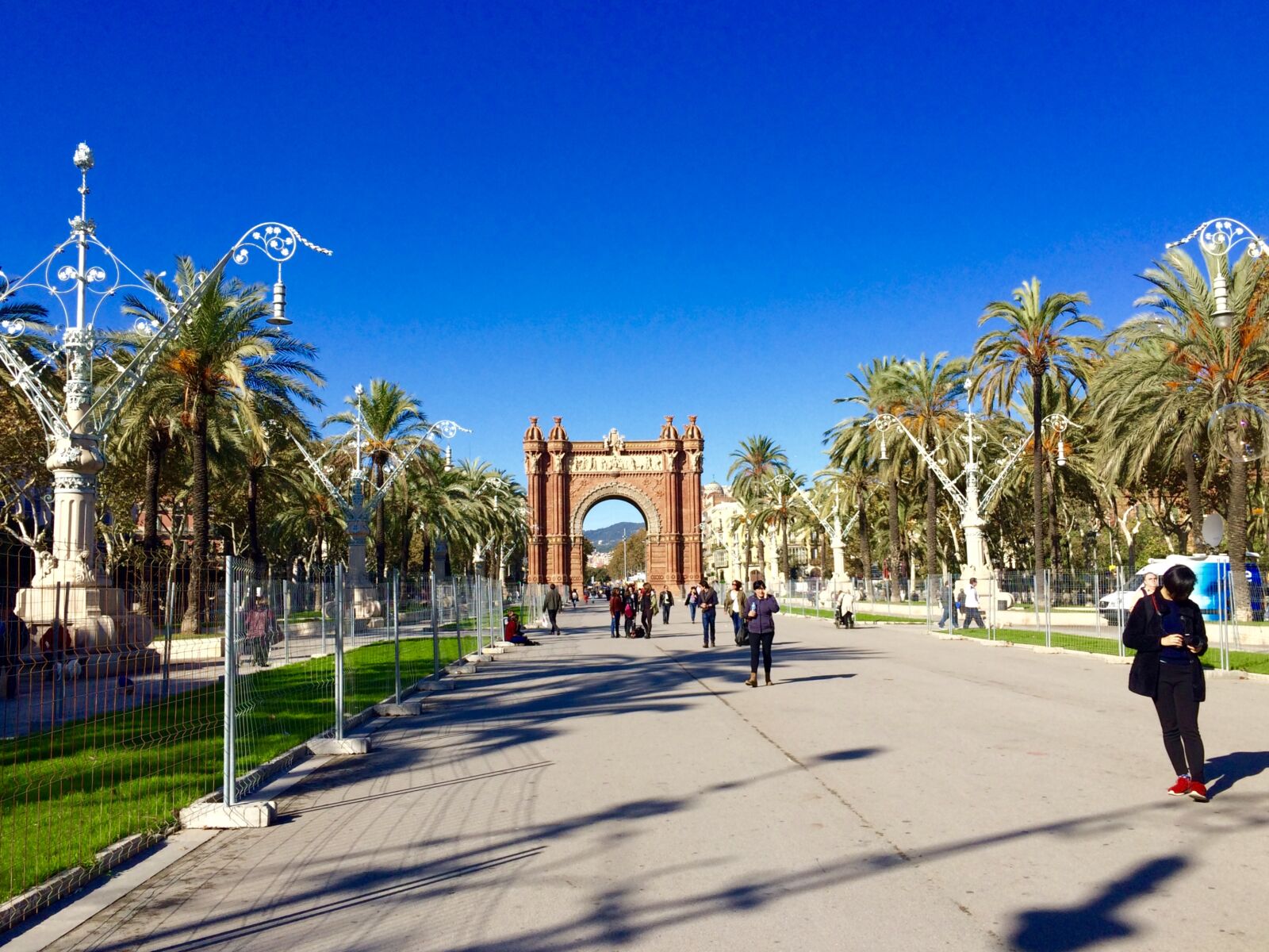 Apple iPhone 5s sample photo. Barcelona, palm, trees, spain photography