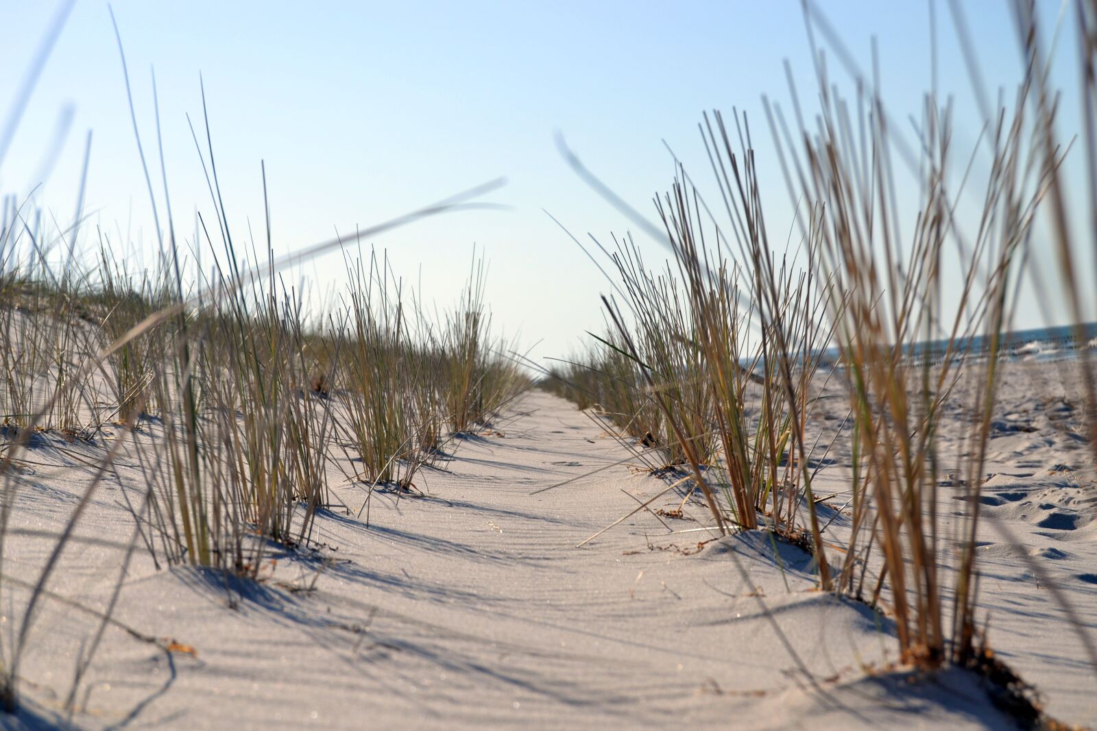 Nikon D3100 sample photo. Sea, the sand dunes photography