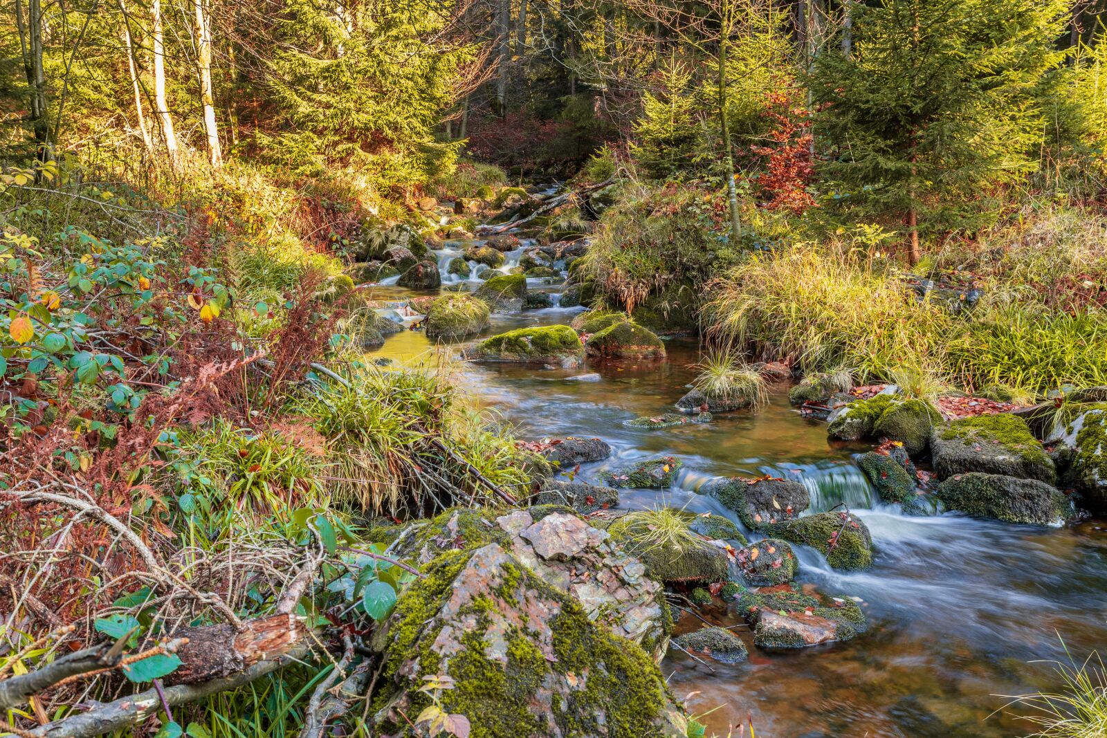 Canon EOS 6D Mark II sample photo. River, stones, water photography