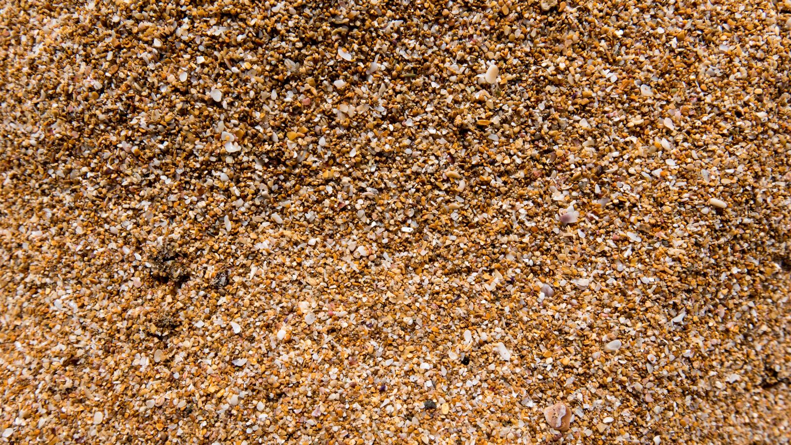 Panasonic Lumix DMC-LX100 sample photo. Sand, grains of sand photography