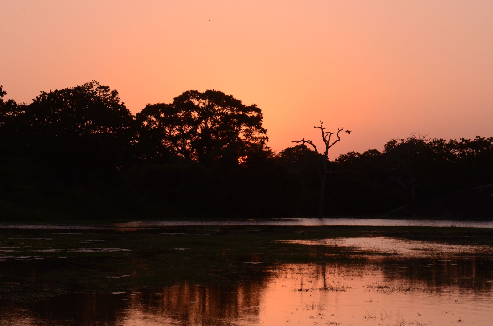 Nikon D7000 sample photo. Sunset, water, ocean photography