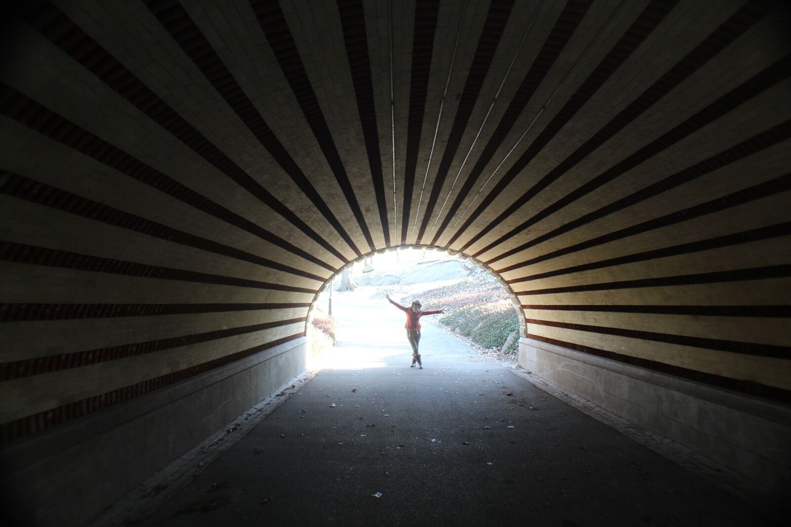 Canon EOS 1200D (EOS Rebel T5 / EOS Kiss X70 / EOS Hi) sample photo. Light, tunnel, central park photography