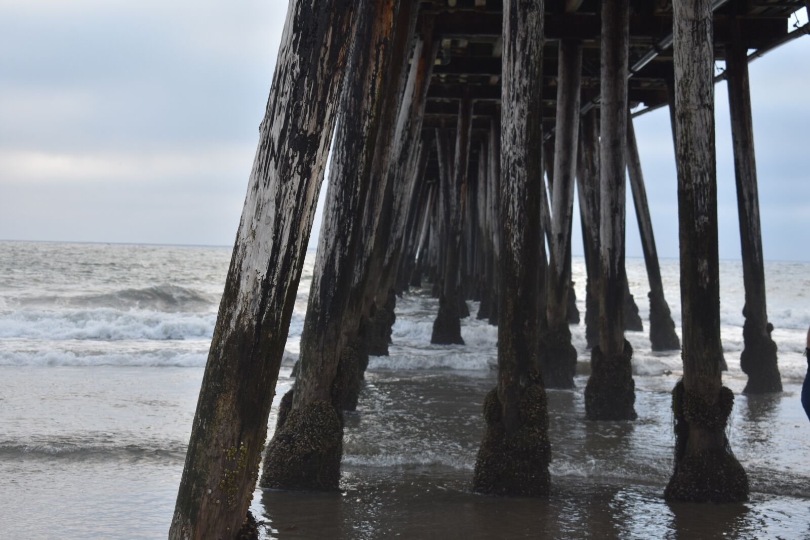 Nikon D3400 sample photo. Pier, beach, ocean photography