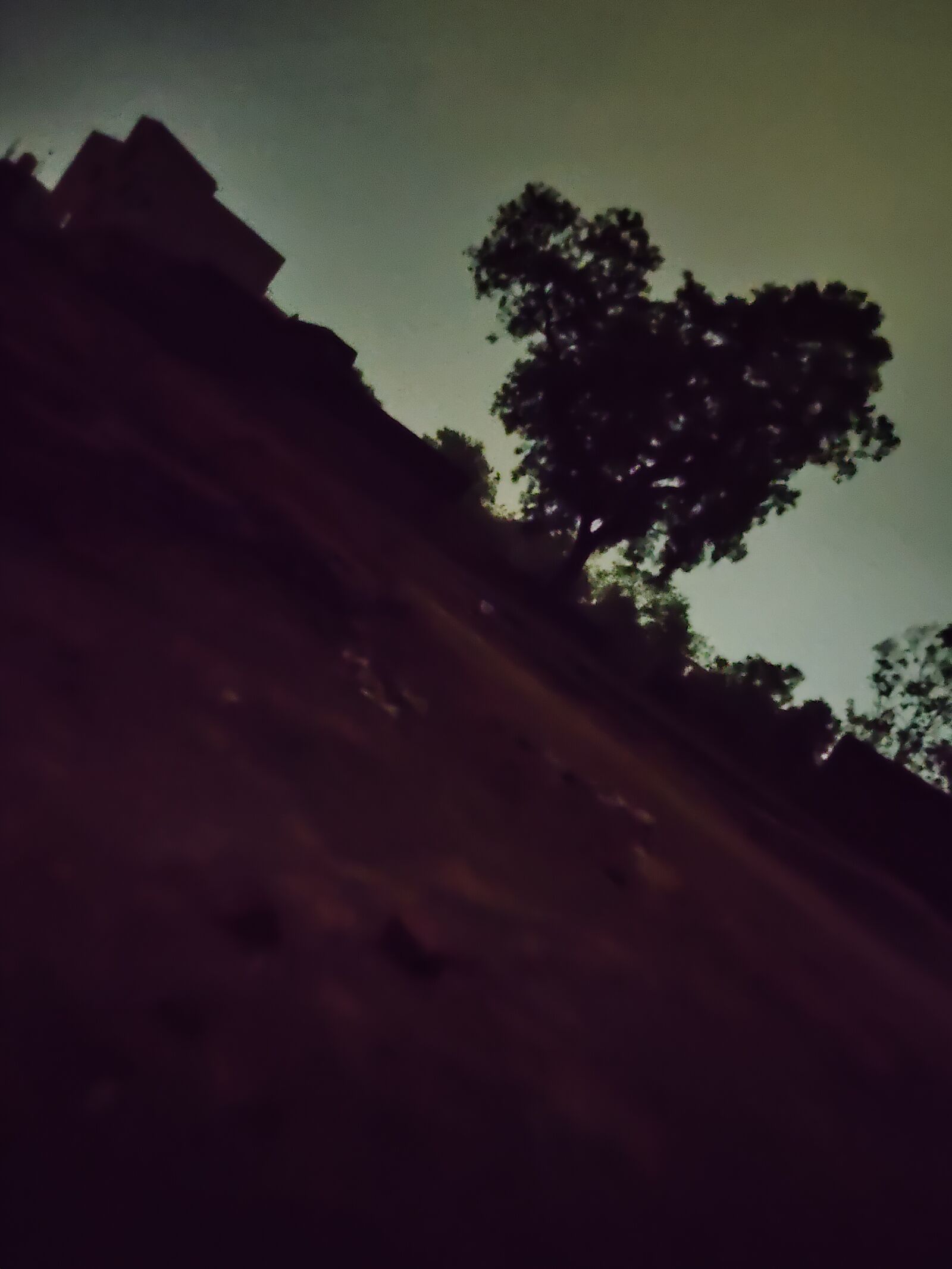 Realme XT sample photo. Night view, heart tree photography