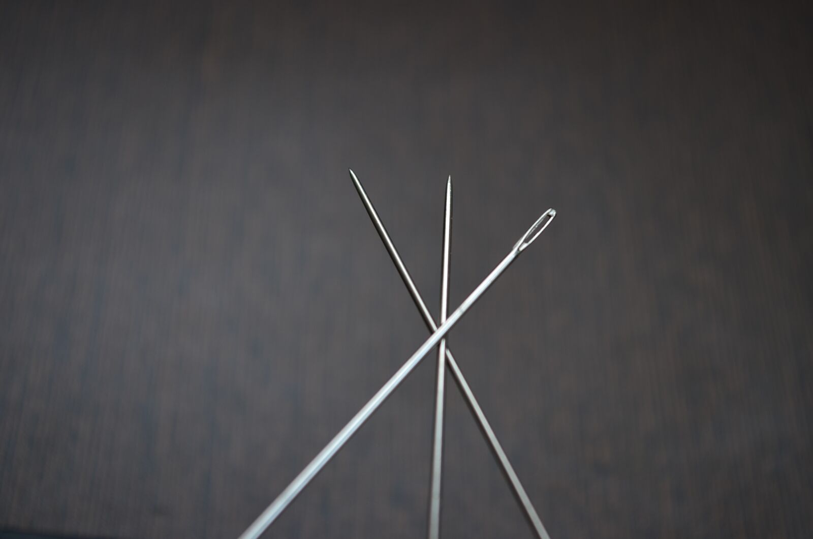 Nikon D5100 sample photo. Needles, head, pointed photography