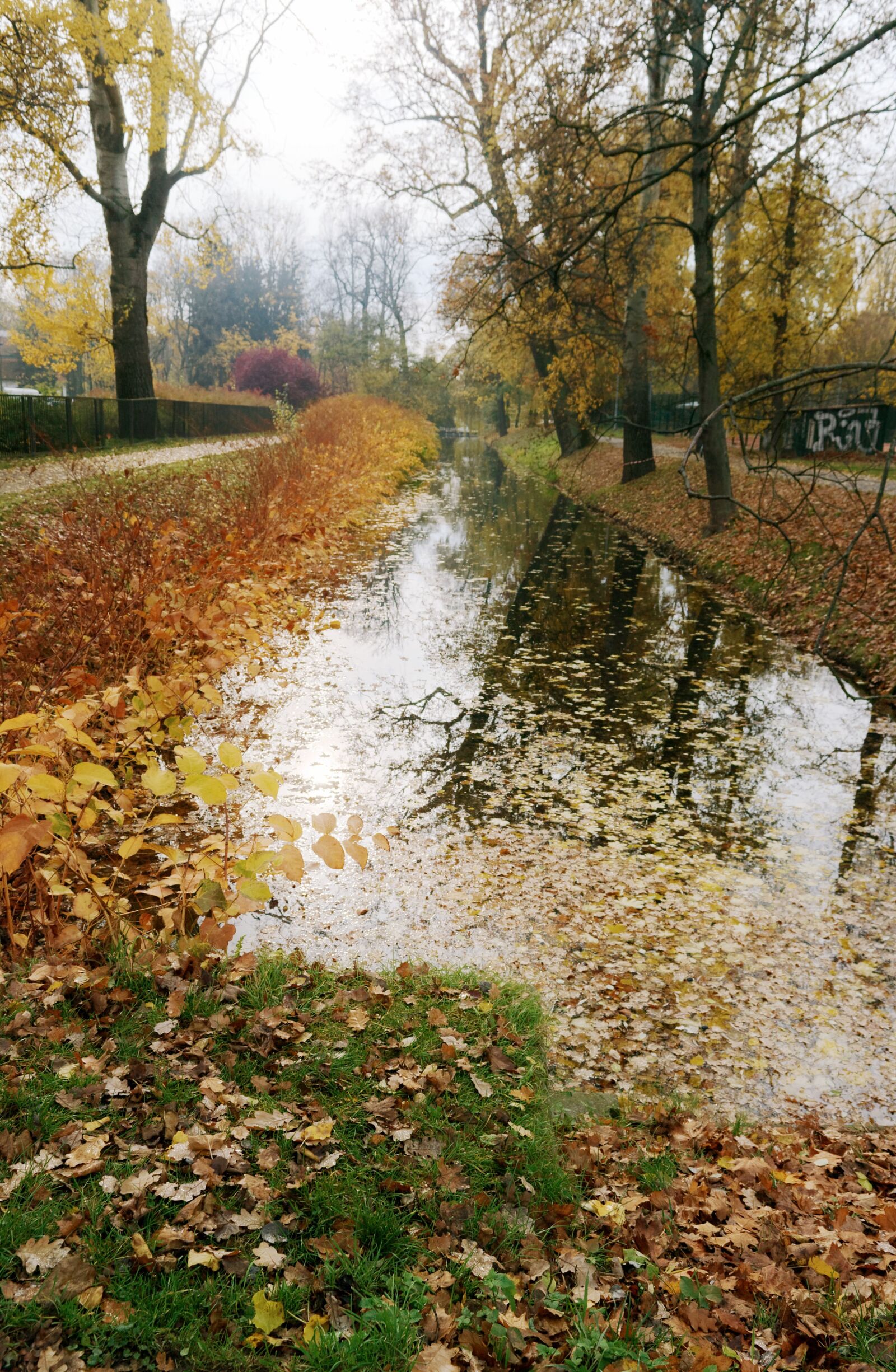 Nikon D3100 sample photo. Landscape, autumn, nature photography