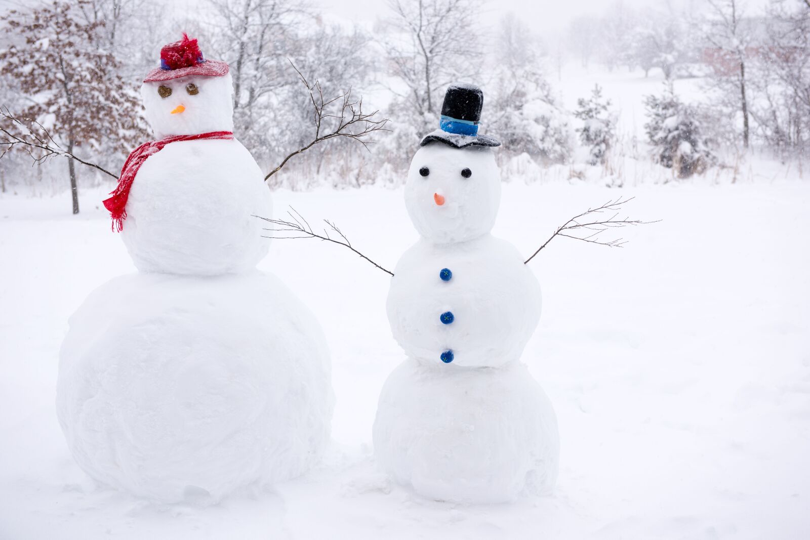 Nikon D810 sample photo. Snowmen, winter, snow photography