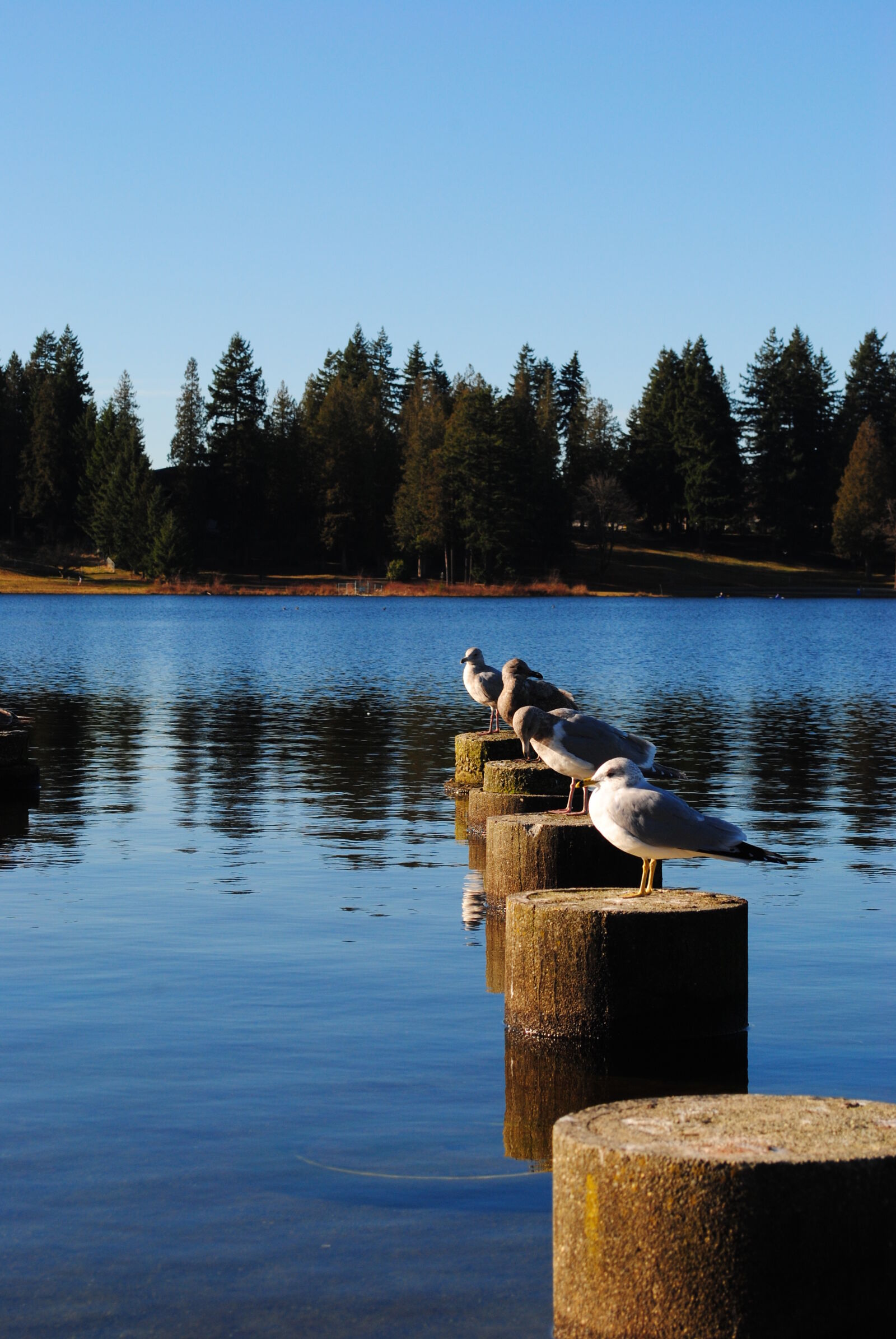 Nikon D3000 sample photo