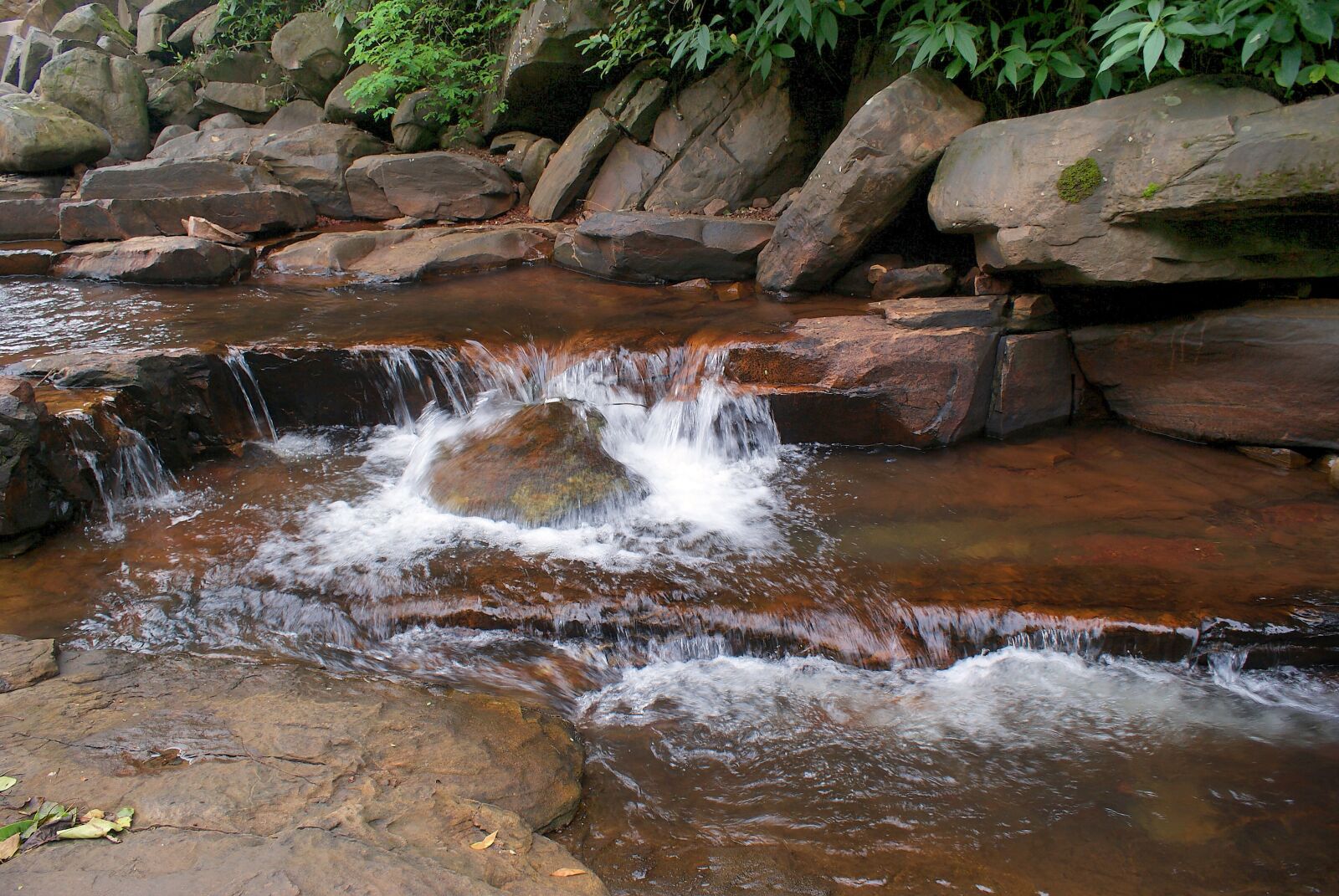 Sony Alpha DSLR-A200 sample photo. Water, green, growth photography