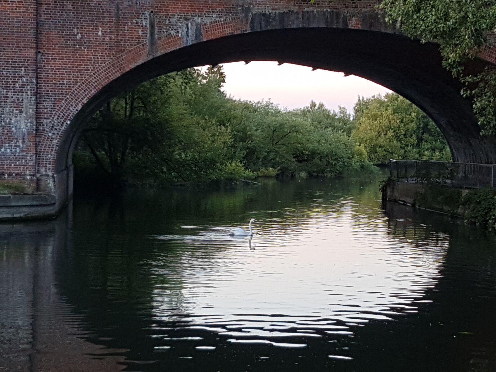 Samsung Galaxy S7 Edge sample photo. Nature, canal, river photography