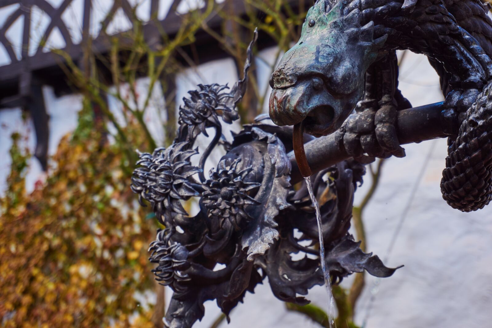 Sony a6000 sample photo. Fountain, old, gargoyle photography