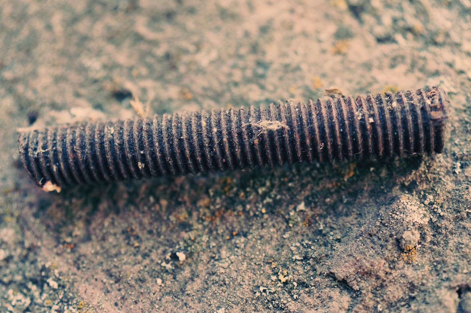 Sony SLT-A58 sample photo. Thread, metal, metal part photography