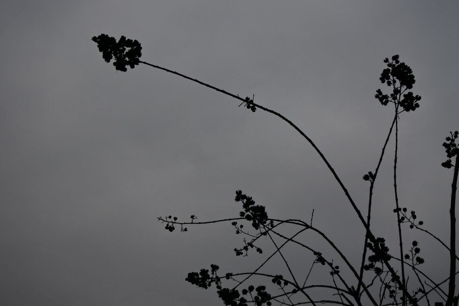 Nikon 1 J5 sample photo. The scenery, city, photography photography