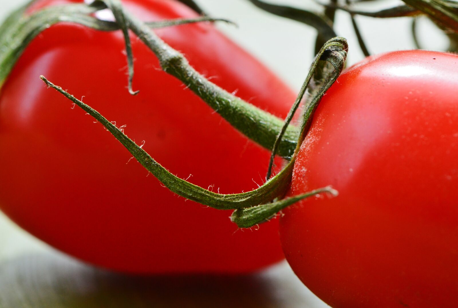 Nikon D3200 sample photo. Tomatoes, vegetables, macro photography