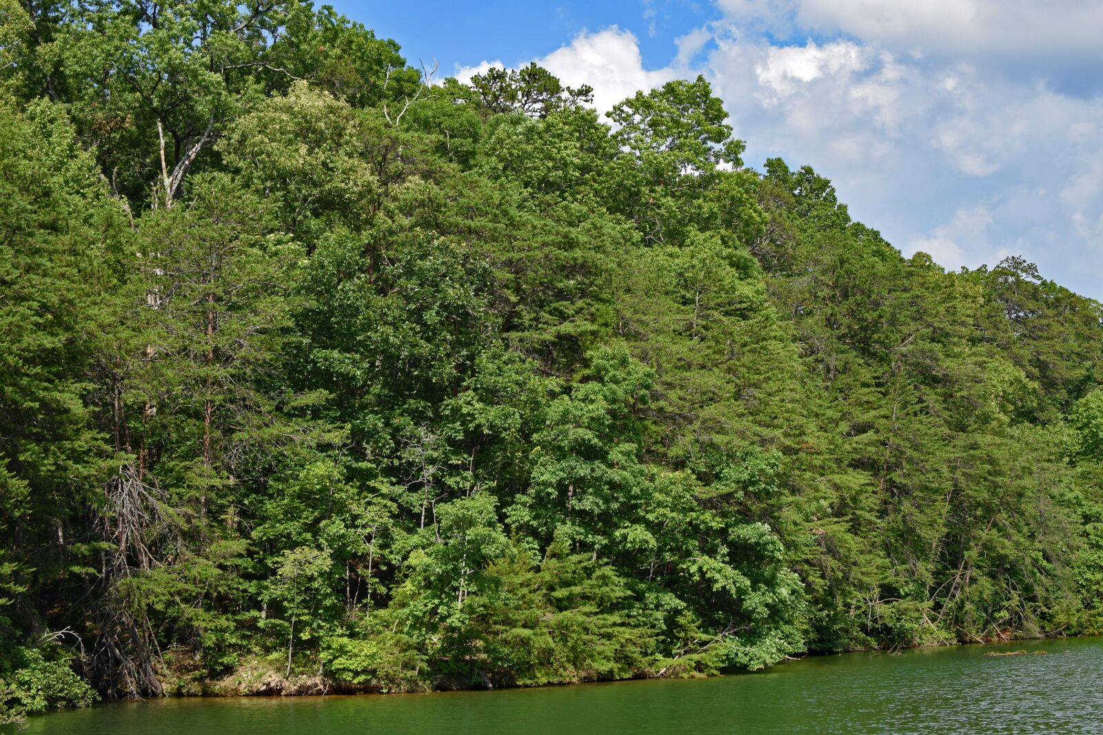 Nikon D3300 sample photo. View of shore from photography