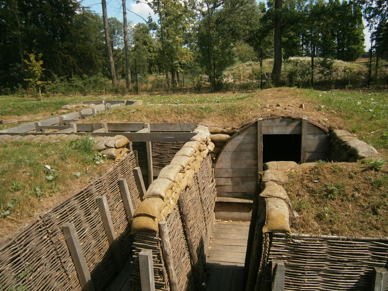 Olympus VG130,D710 sample photo. Trench, replica, first world photography