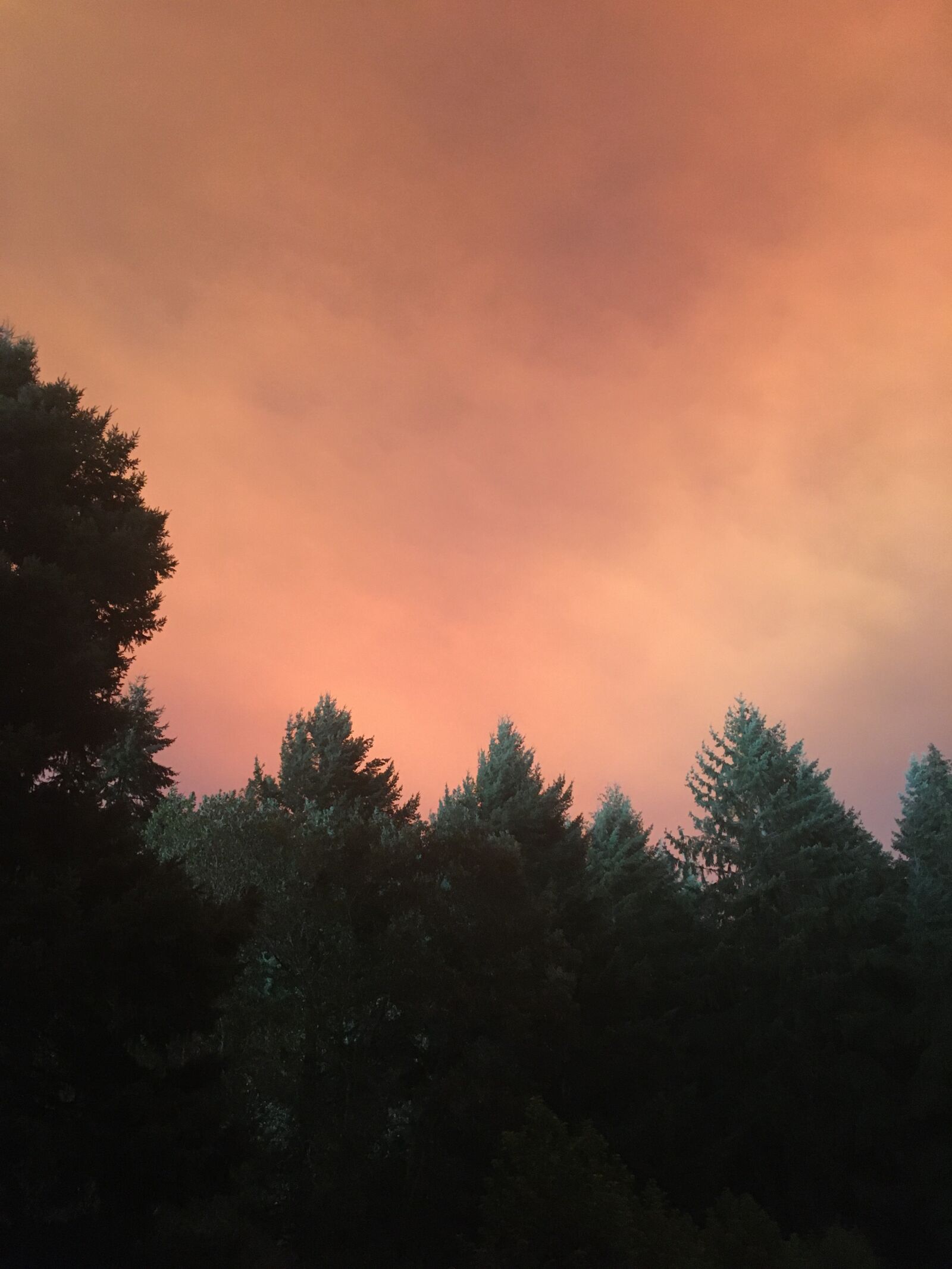 Apple iPhone SE (1st generation) sample photo. Oregon, smoke, fire photography