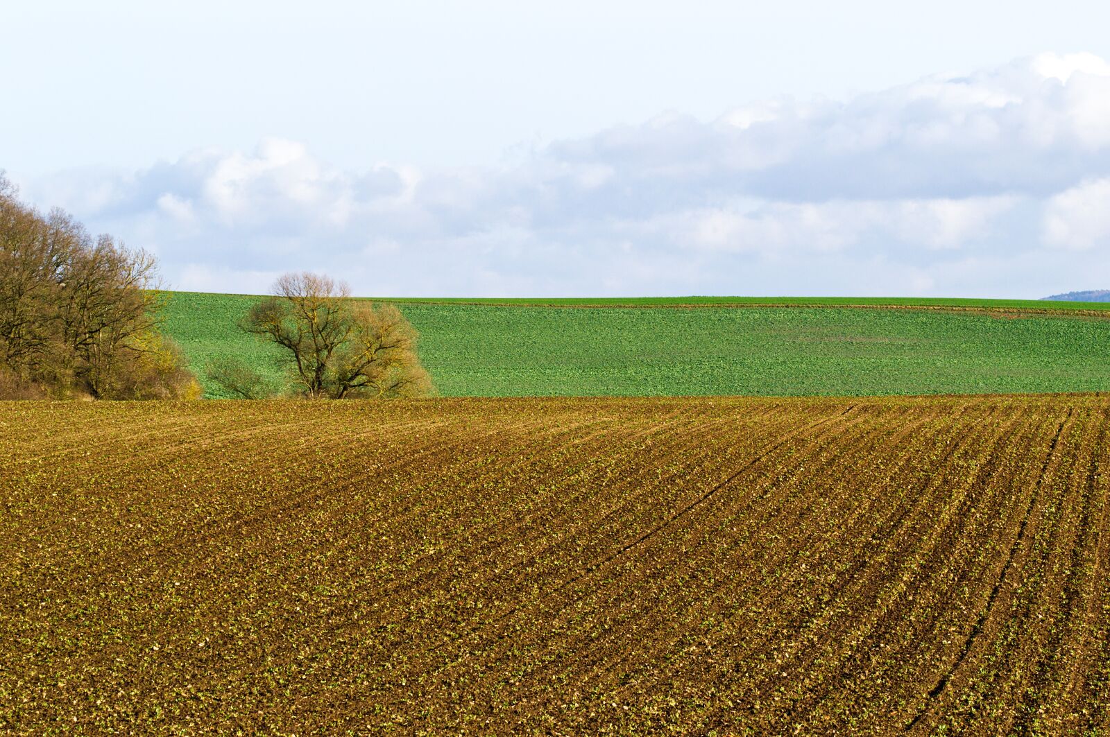 Nikon D3100 sample photo. Landscape, field, meadow photography