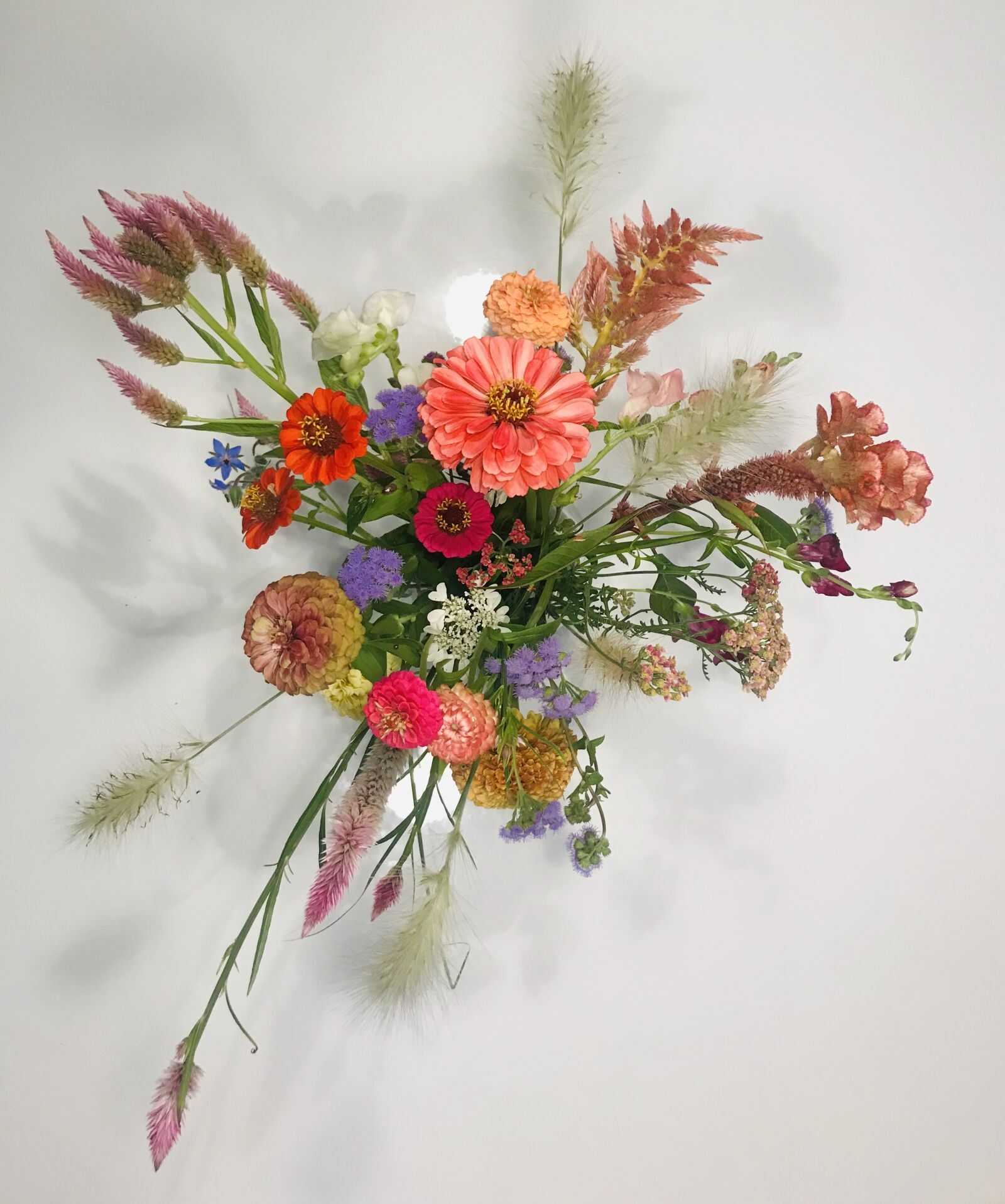iPhone 7 back camera 3.99mm f/1.8 sample photo. Wild flowers, bouquet, romantic photography
