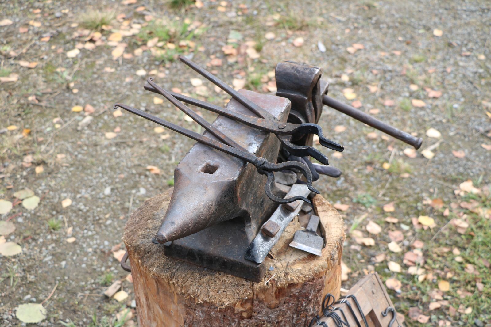 Canon EOS 750D (EOS Rebel T6i / EOS Kiss X8i) sample photo. Anvil, smithy, iron photography