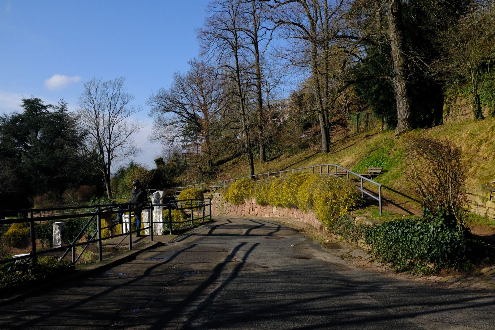 Fujifilm X100F sample photo. Road, tree, nature photography