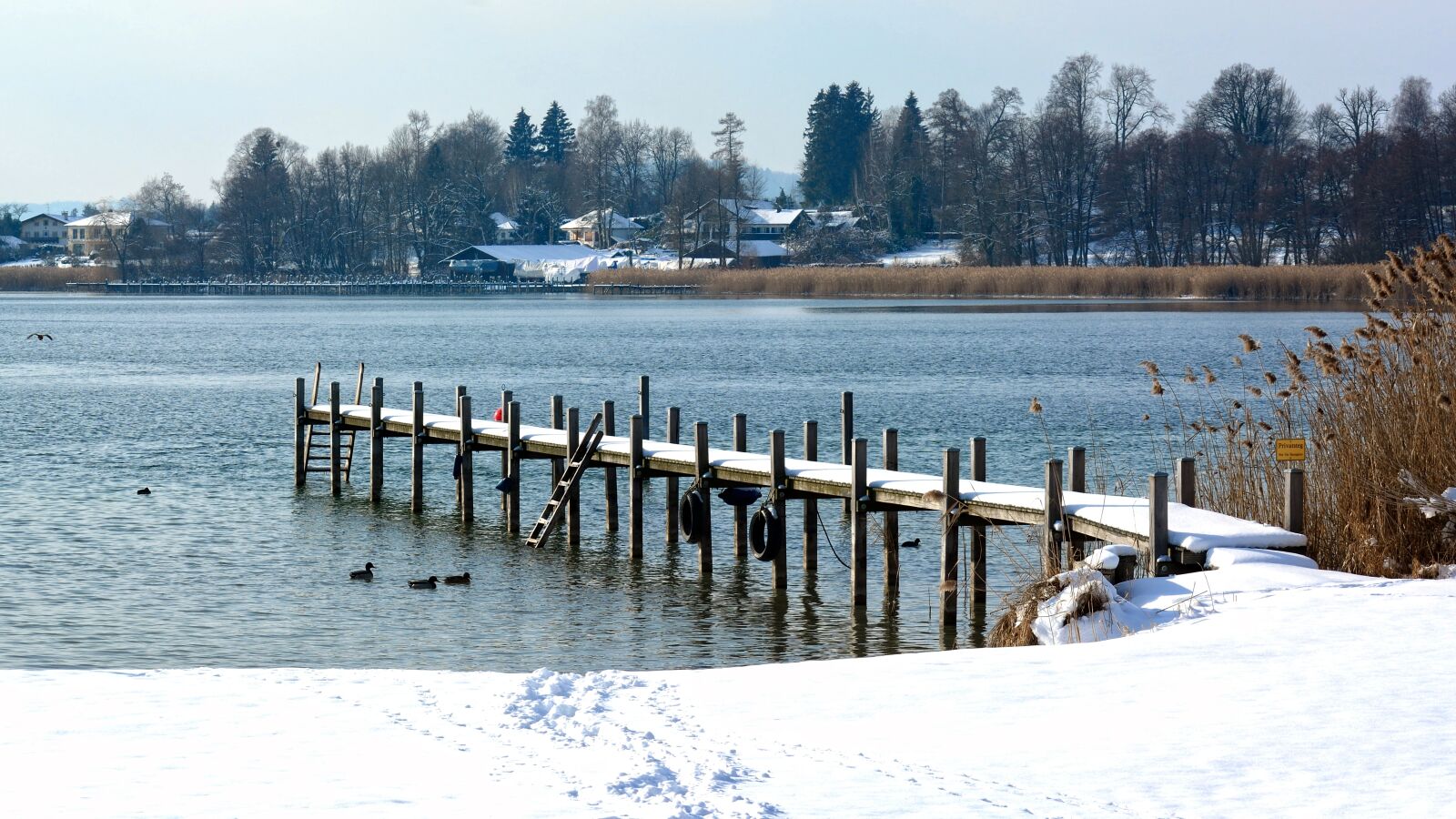 Nikon D7100 sample photo. Winter, snow, wintry photography
