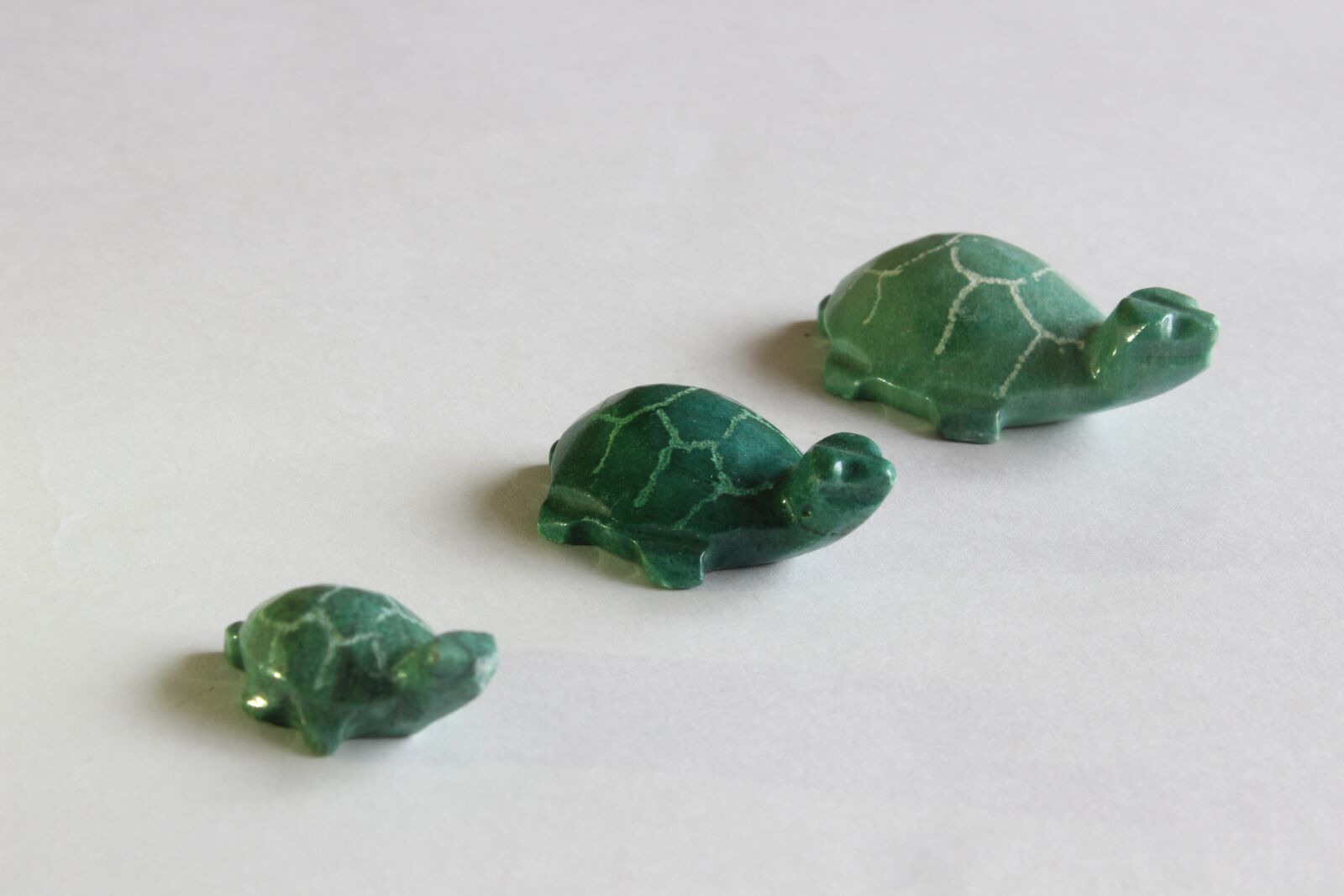 Canon EOS 600D (Rebel EOS T3i / EOS Kiss X5) sample photo. Turtle, crafts, decoration photography