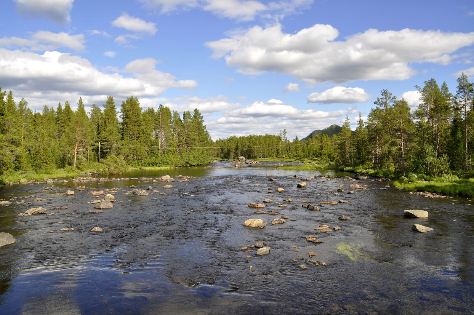 Nikon D5000 sample photo. Sweden, dalarna, nature photography