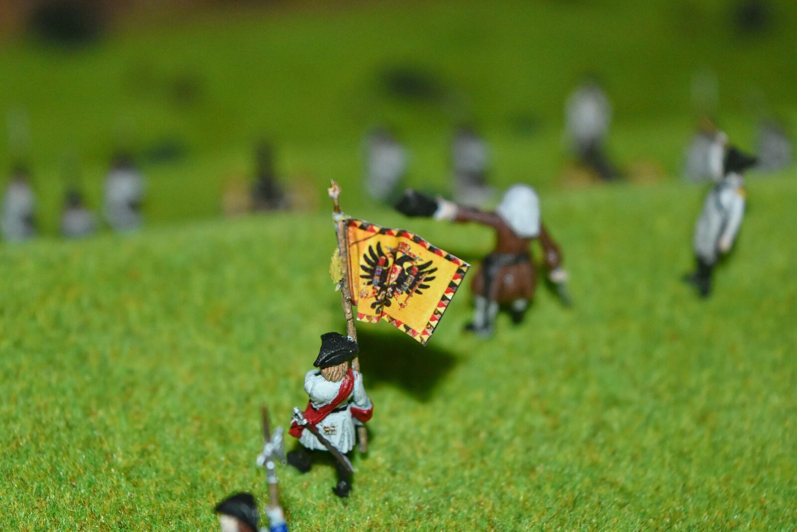 Nikon D5500 sample photo. Battle, battlefield, historic, medieval photography