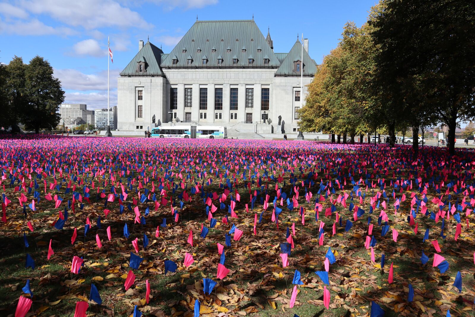 Canon EOS M100 sample photo. Pro-life flags, ottawa ontario photography