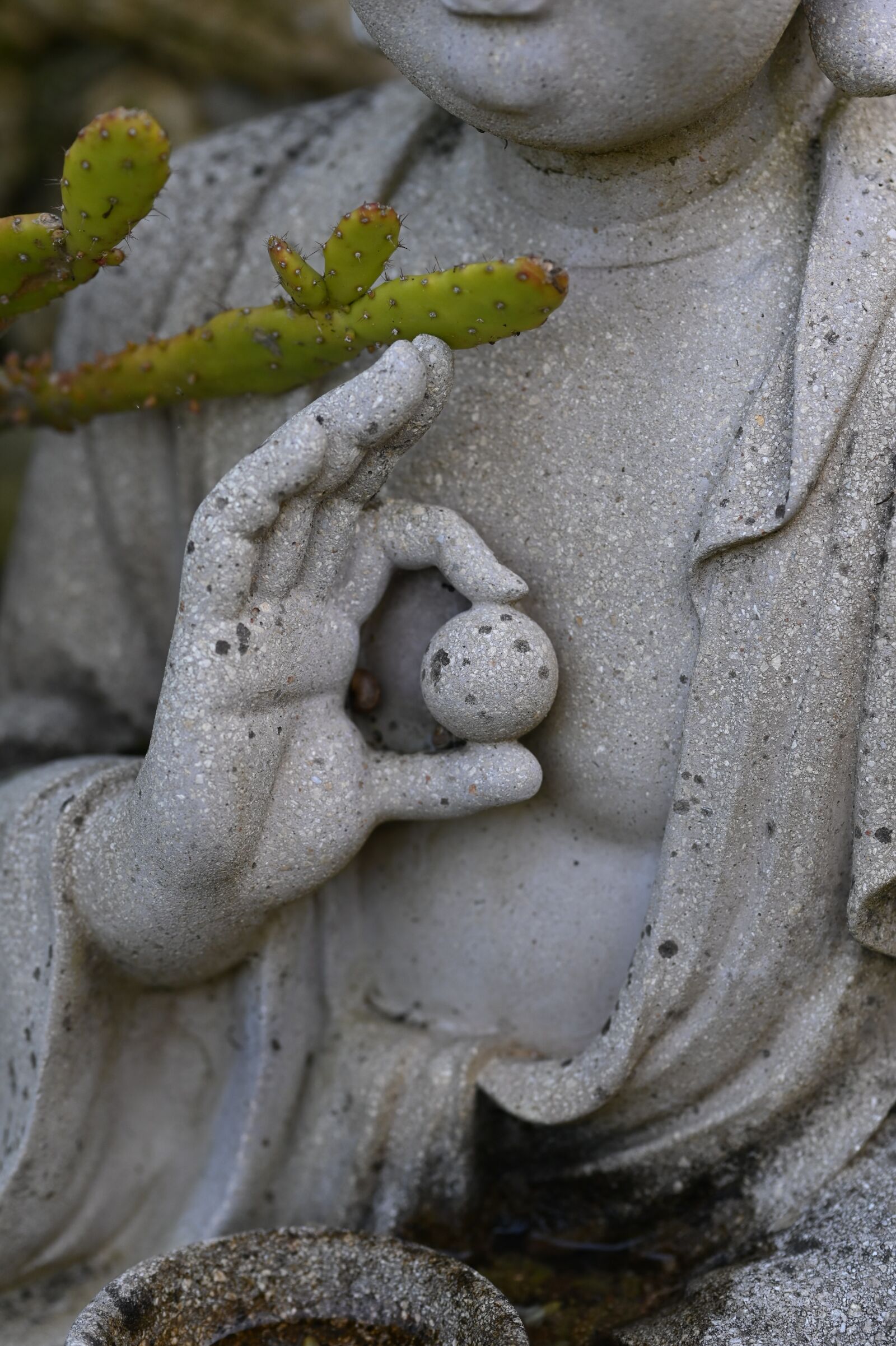 Nikon Z6 sample photo. Buddha, meditation, calm photography