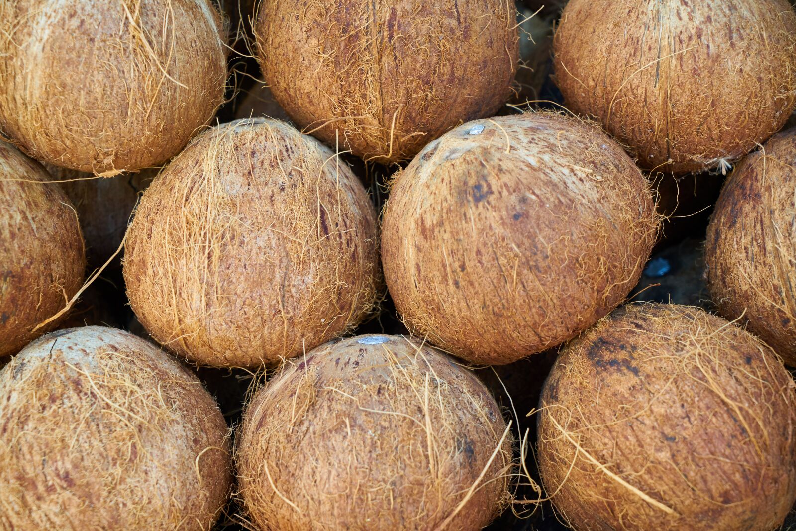 Sony a7R II sample photo. India coconut, fruit, food photography