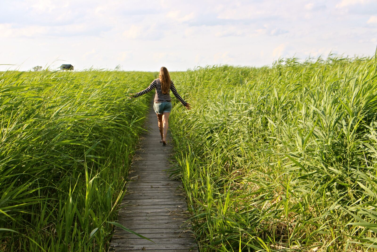 Canon EOS 700D (EOS Rebel T5i / EOS Kiss X7i) sample photo. High grass, walk, relax photography