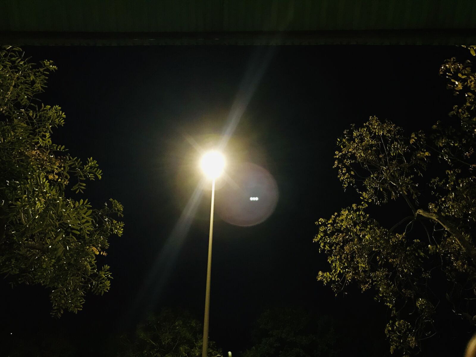 iPhone 7 back camera 3.99mm f/1.8 sample photo. Night, light, trees photography