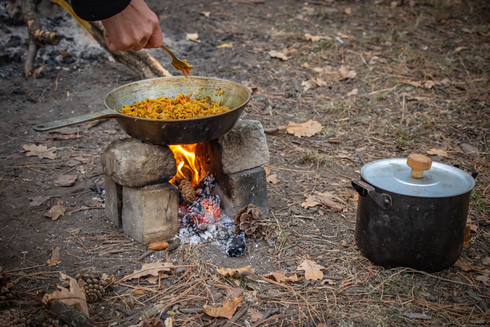 Canon EF-S 18-135mm F3.5-5.6 IS USM sample photo. Picnic, bonfire, pilaf photography