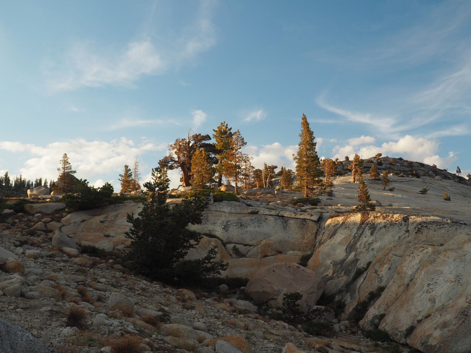 Olympus OM-D E-M10 II + Olympus M.Zuiko Digital 14-42mm F3.5-5.6 II R sample photo. Yosemite, nature, landscape photography