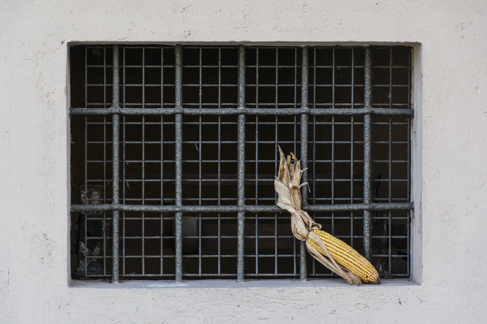 Nikon D7100 sample photo. Window, corn on the photography