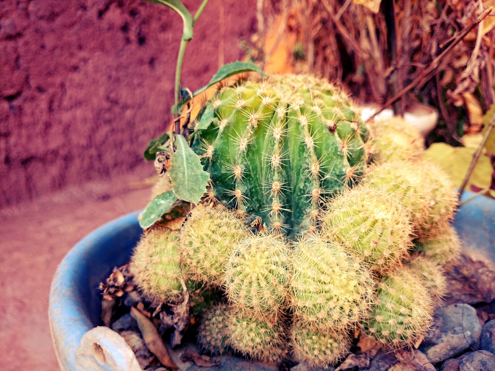 Sony Xperia Z2 sample photo. Beautiful, focus, green, hug photography