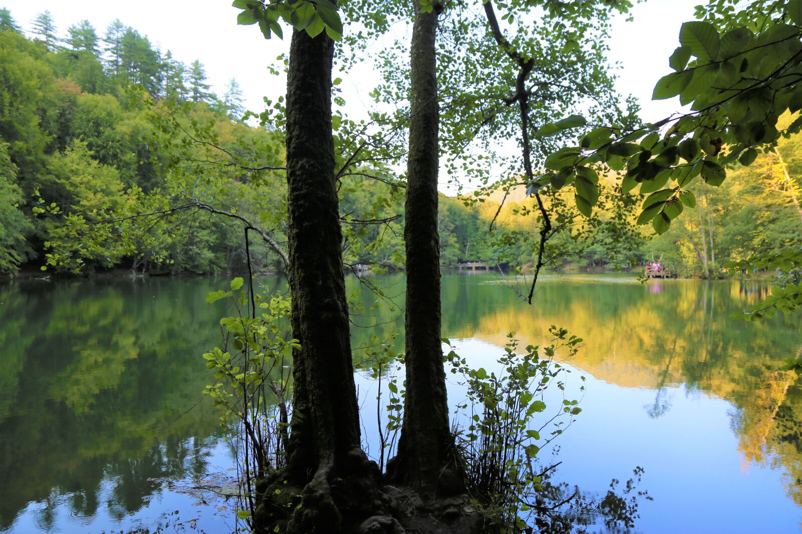 Canon EF 24-105mm F4L IS USM sample photo. Lake, water, nature photography