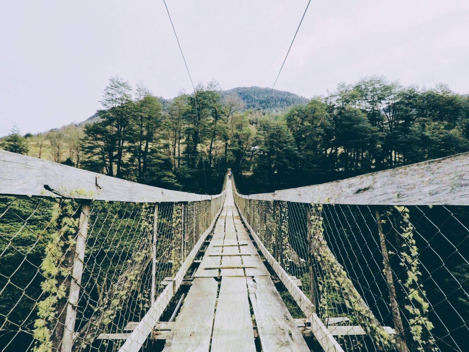 GoPro Hero5 Black sample photo. Arch, bridge, challenge, forest photography