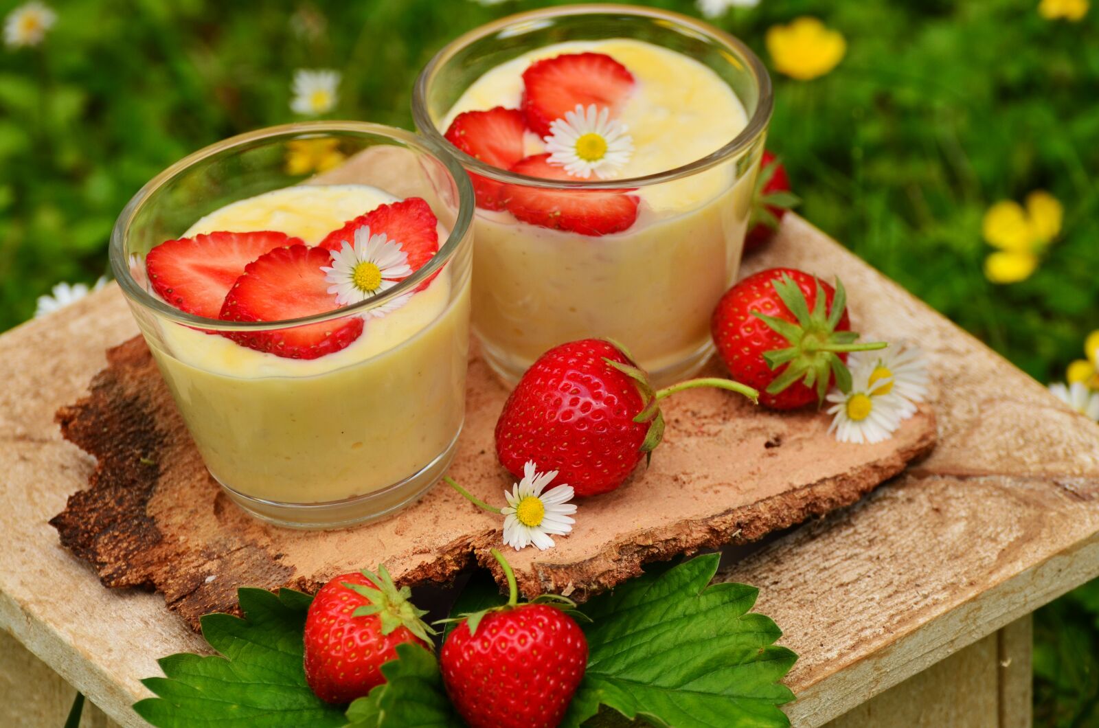 Nikon D5100 sample photo. Strawberries, strawberry dessert, vanilla photography