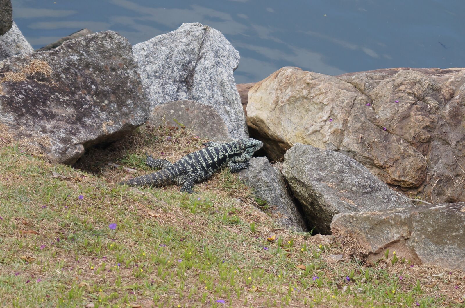 Sony SLT-A37 sample photo. Balne rio cambori photography