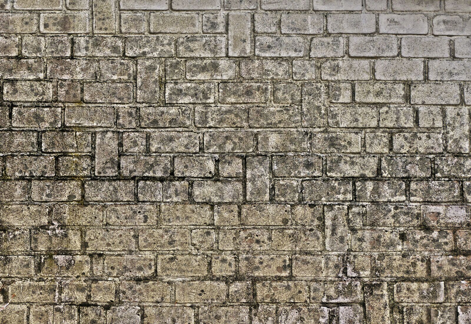 Panasonic Lumix DMC-FZ1000 sample photo. Brick, stone wall, wall photography