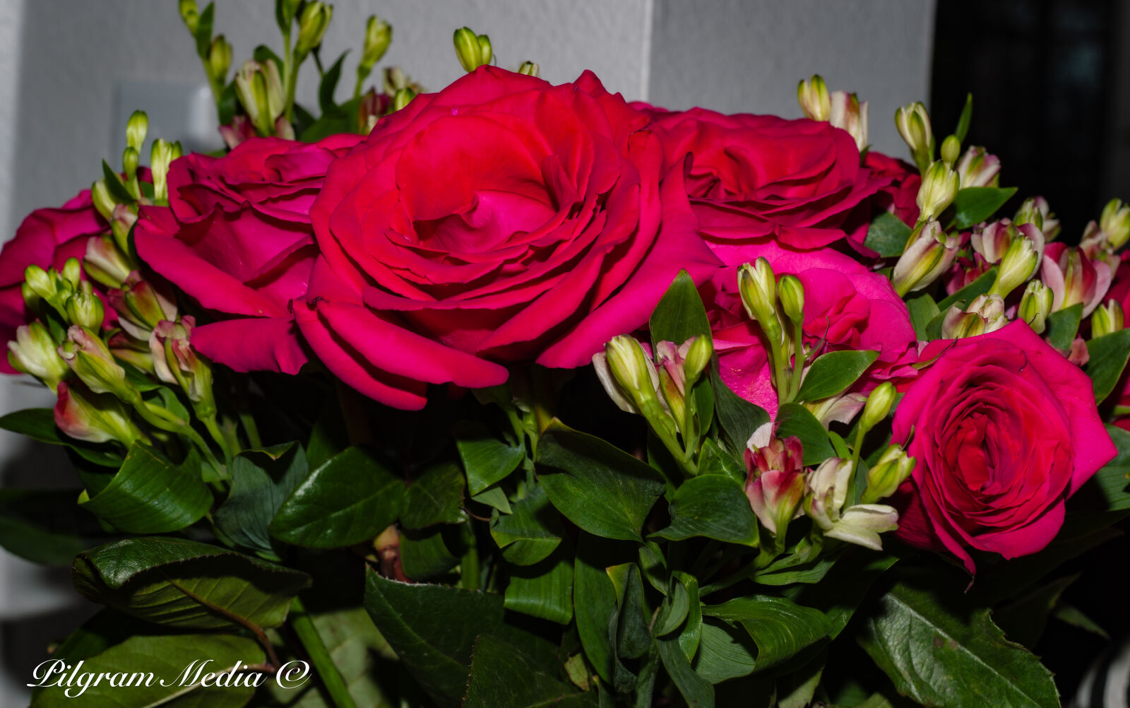 Phase One P30+ sample photo