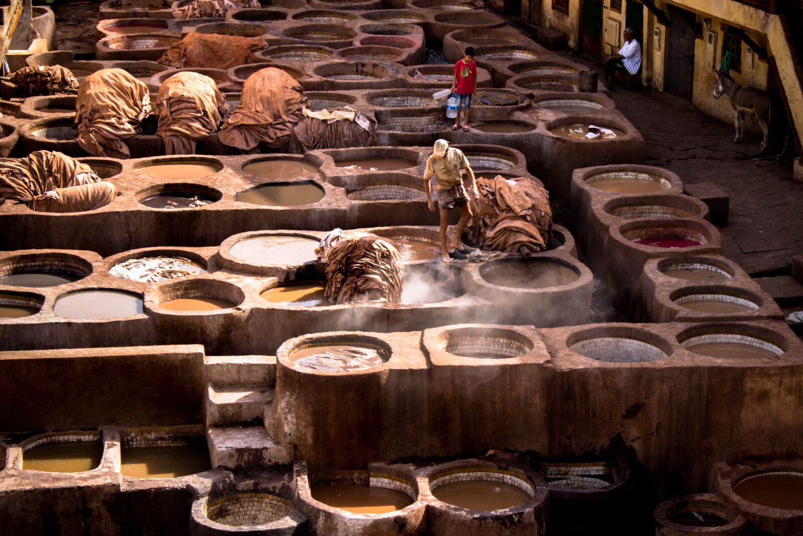 Canon EOS 750D (EOS Rebel T6i / EOS Kiss X8i) sample photo. Morocco, the tannery, skin photography