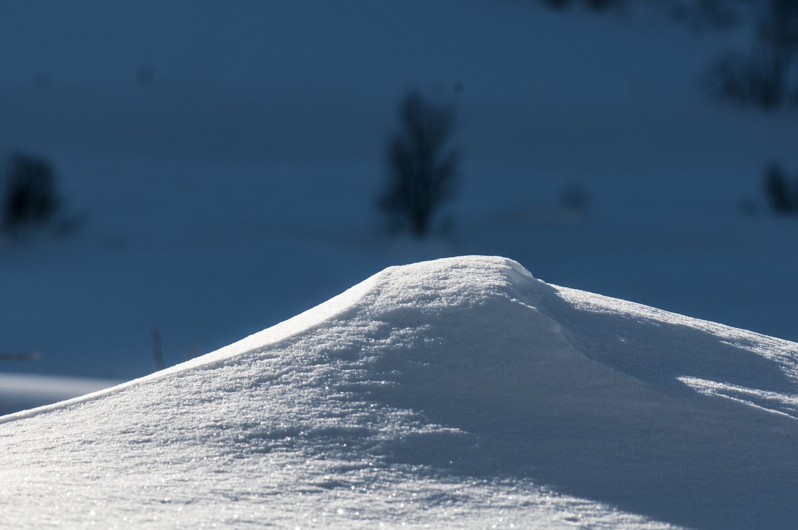 Nikon D300S sample photo. Snow, winter, nature photography