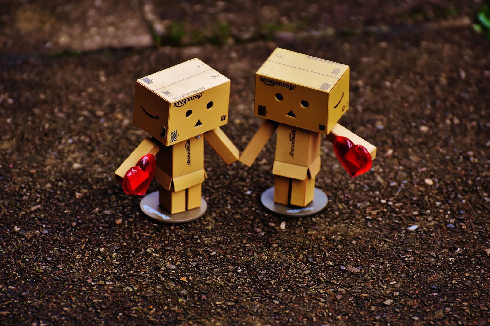 Nikon D7200 sample photo. Danbo, figure, together photography