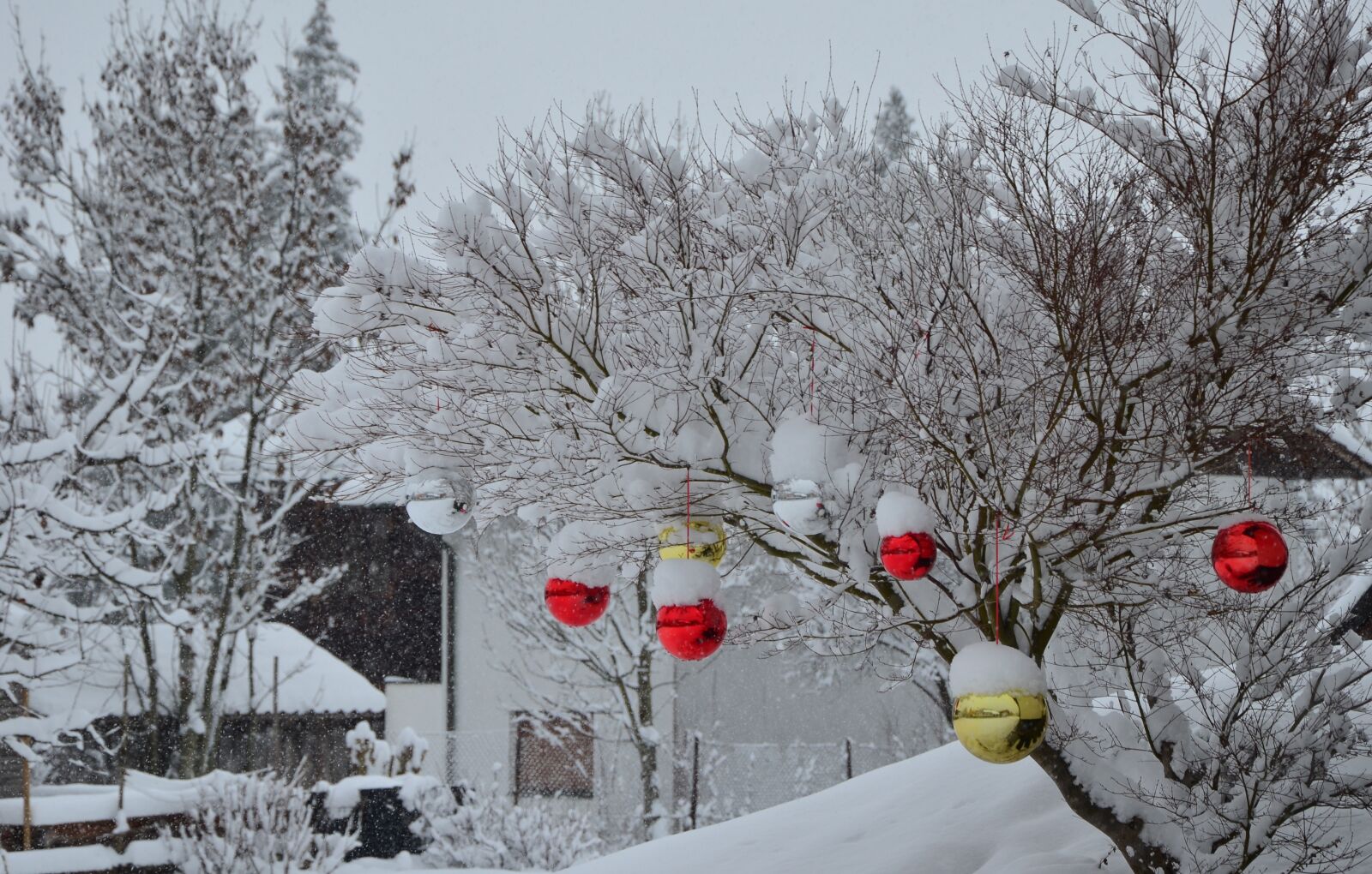 Nikon D5100 sample photo. Winter, snow, tree photography