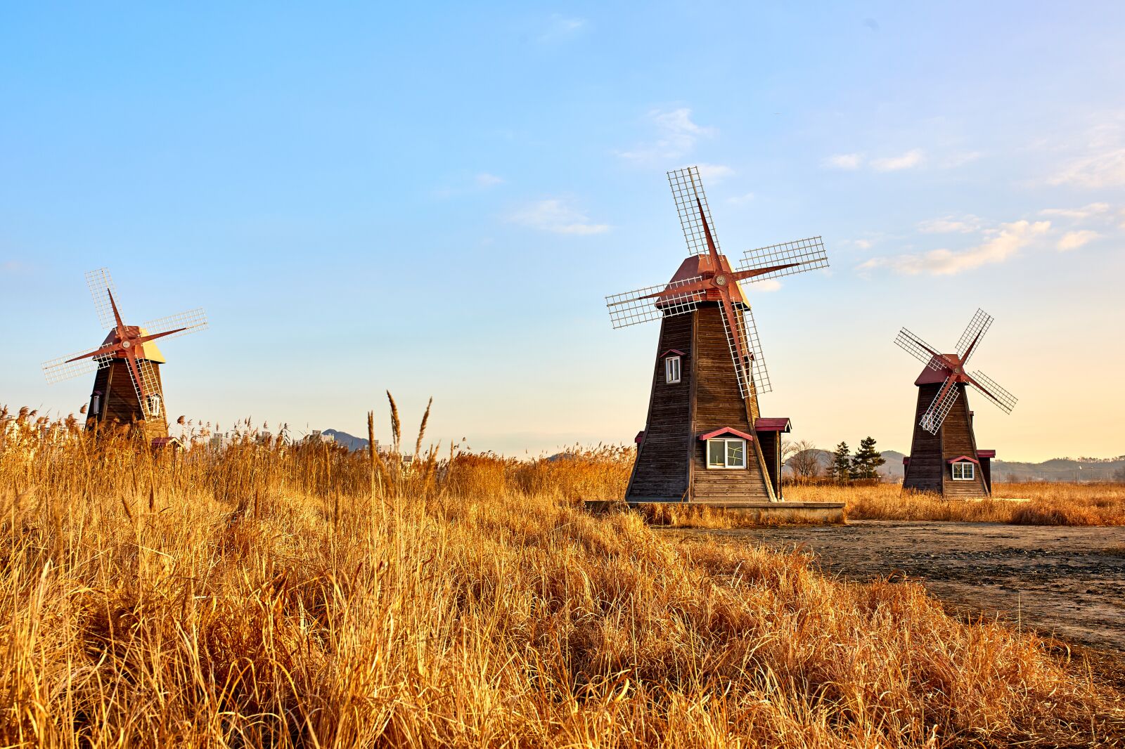 Sigma 35mm F1.4 DG HSM Art sample photo. Travel, windmill, field photography